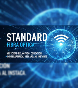 Conexion a internet Estandard